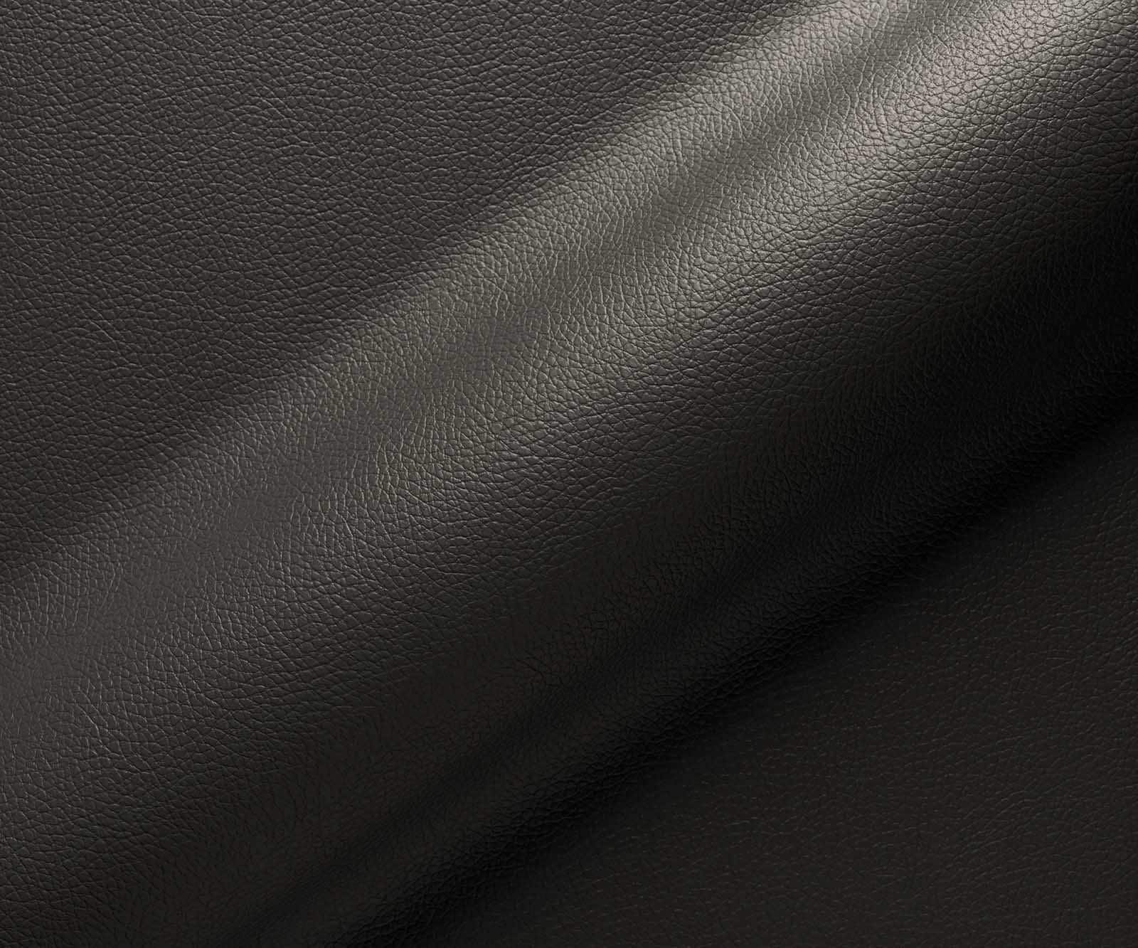 Freischwinger Heira-Flex mit Armlehnen Echt-Leder Schwarz Freischwinger flach Effektfinish Titan Taschenfederkern 3