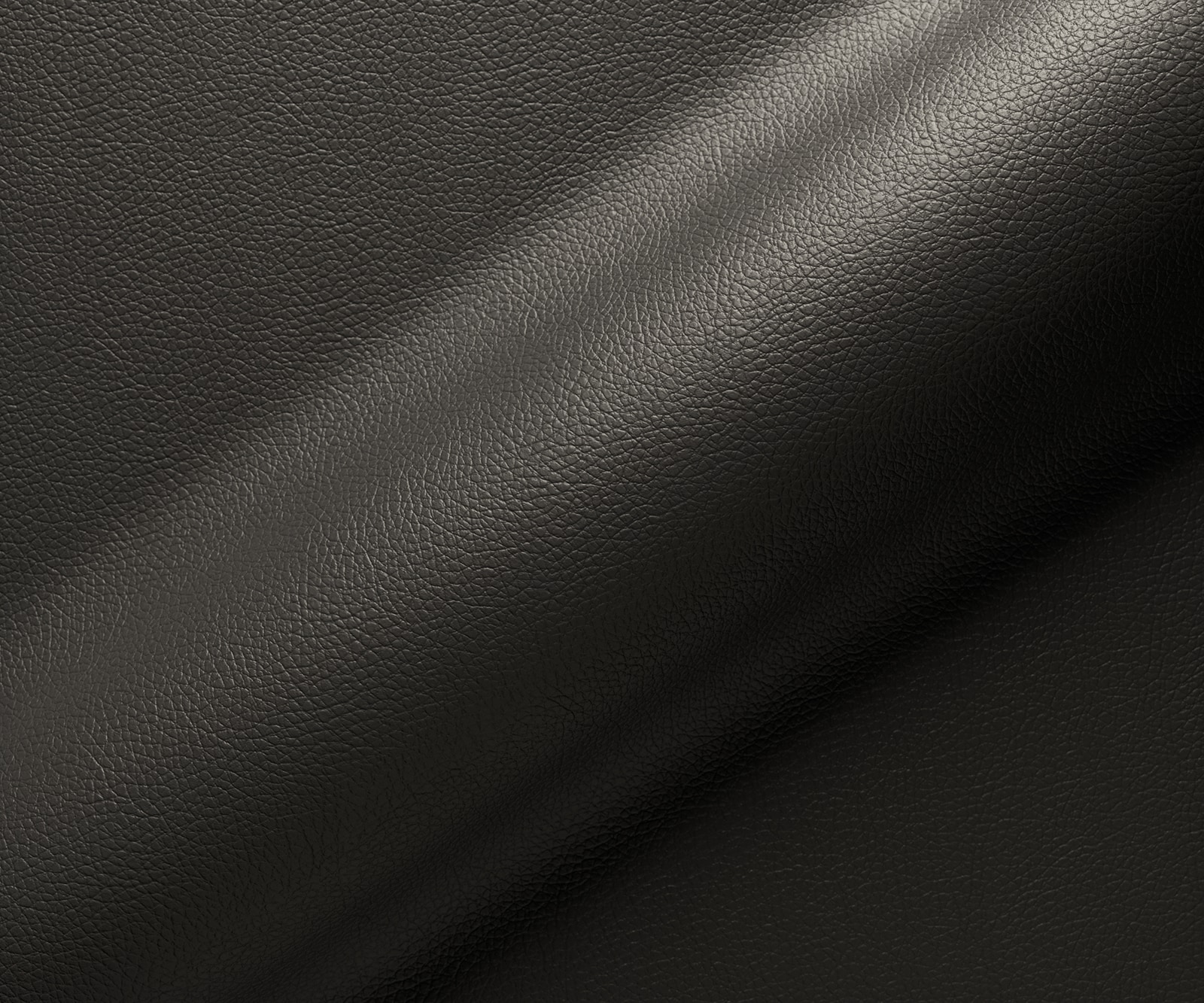 Freischwinger Greg-Flex Echt-Leder Schwarz Freischwinger flach Gold Taschenfederkern 2