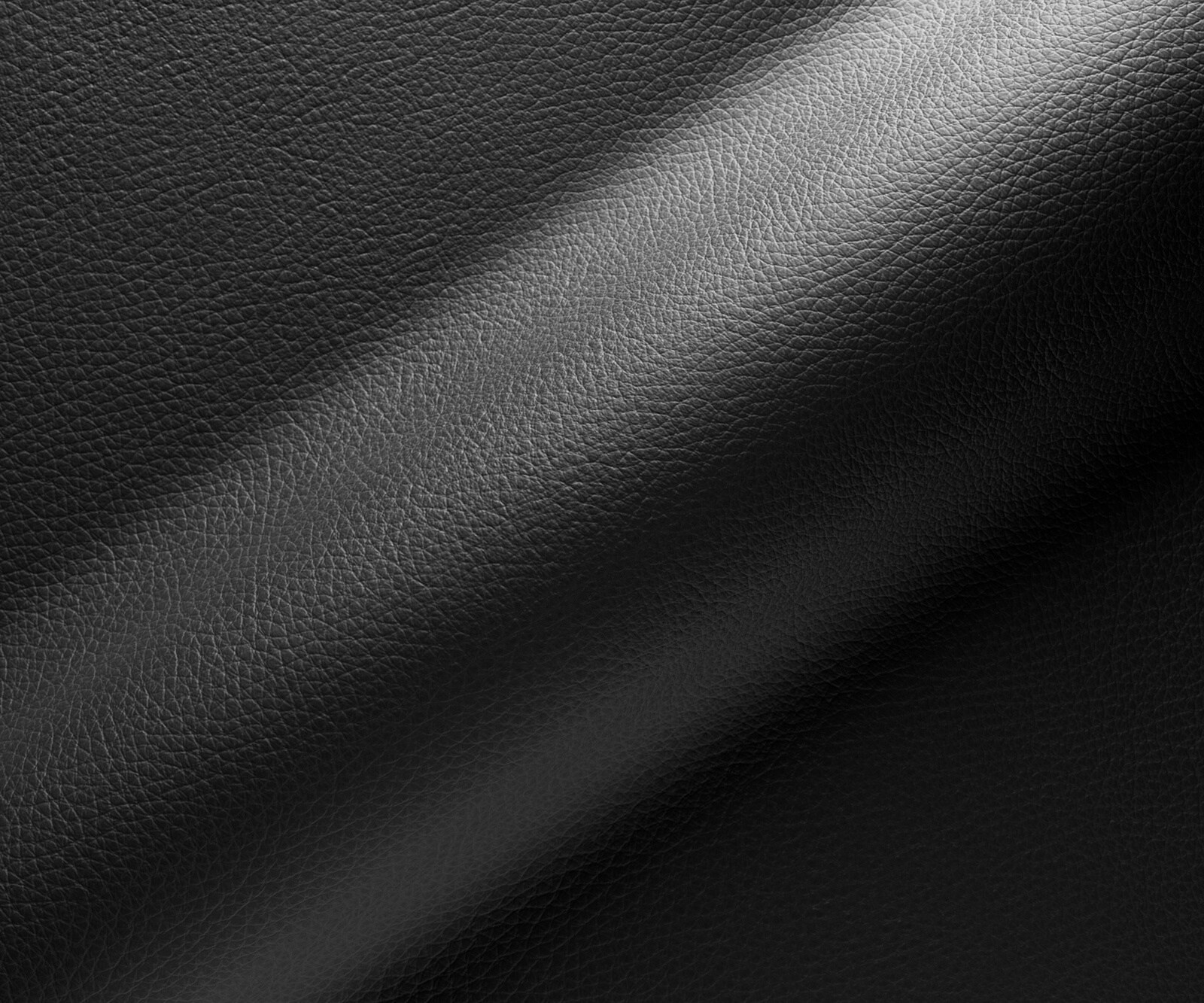 Freischwinger Lelio-Flex Echt-Leder Schwarz Freischwinger flach Effektfinish Titan Taschenfederkern 2