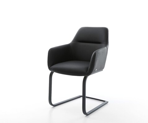 Freischwinger Pejo-Flex Echt-Leder Schwarz Freischwinger flach Schwarz Taschenfederkern