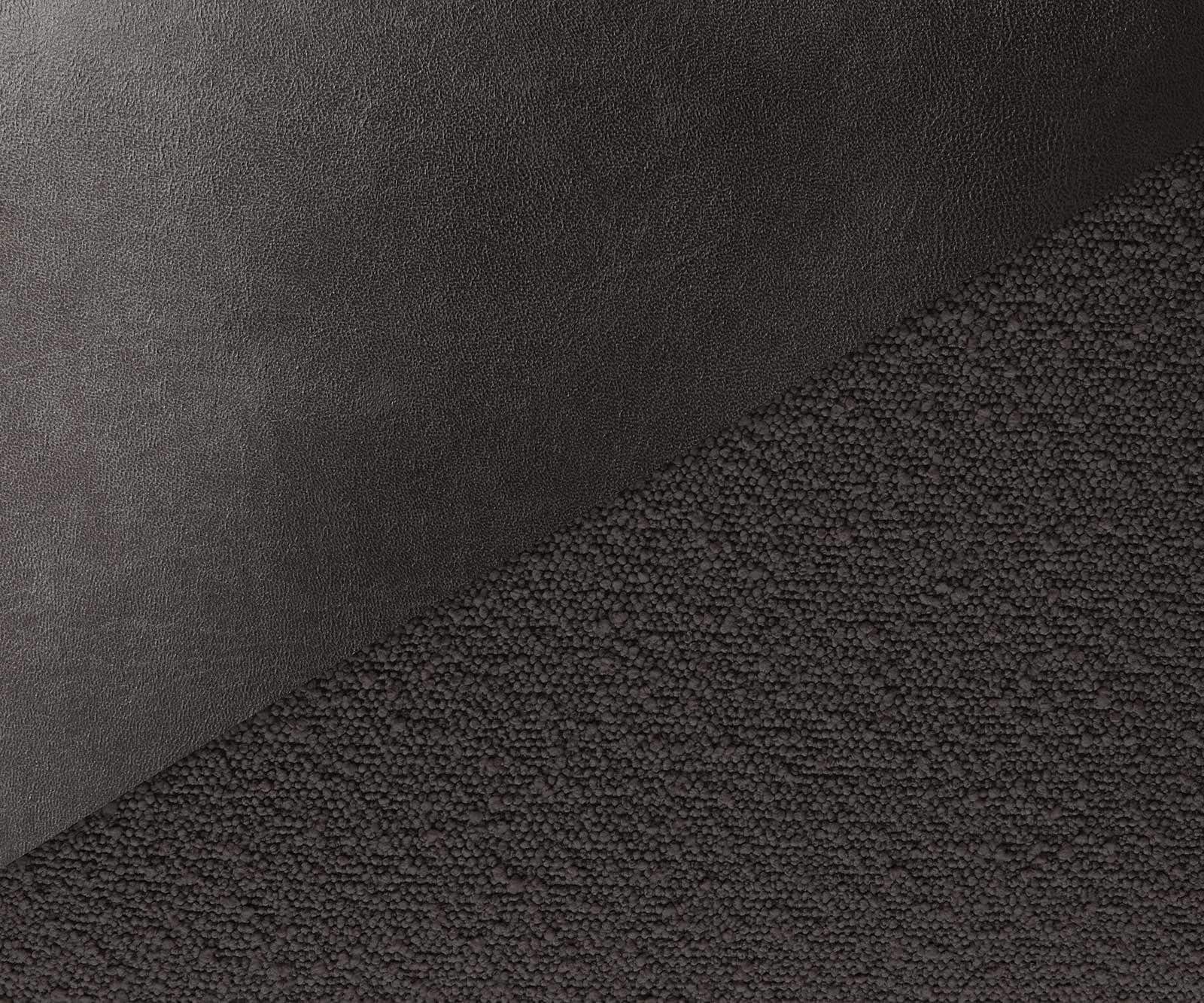 Freischwinger Abelia-Flex mit Armlehnen Materialmix Schwarz Freischwinger flach Edelstahl 3