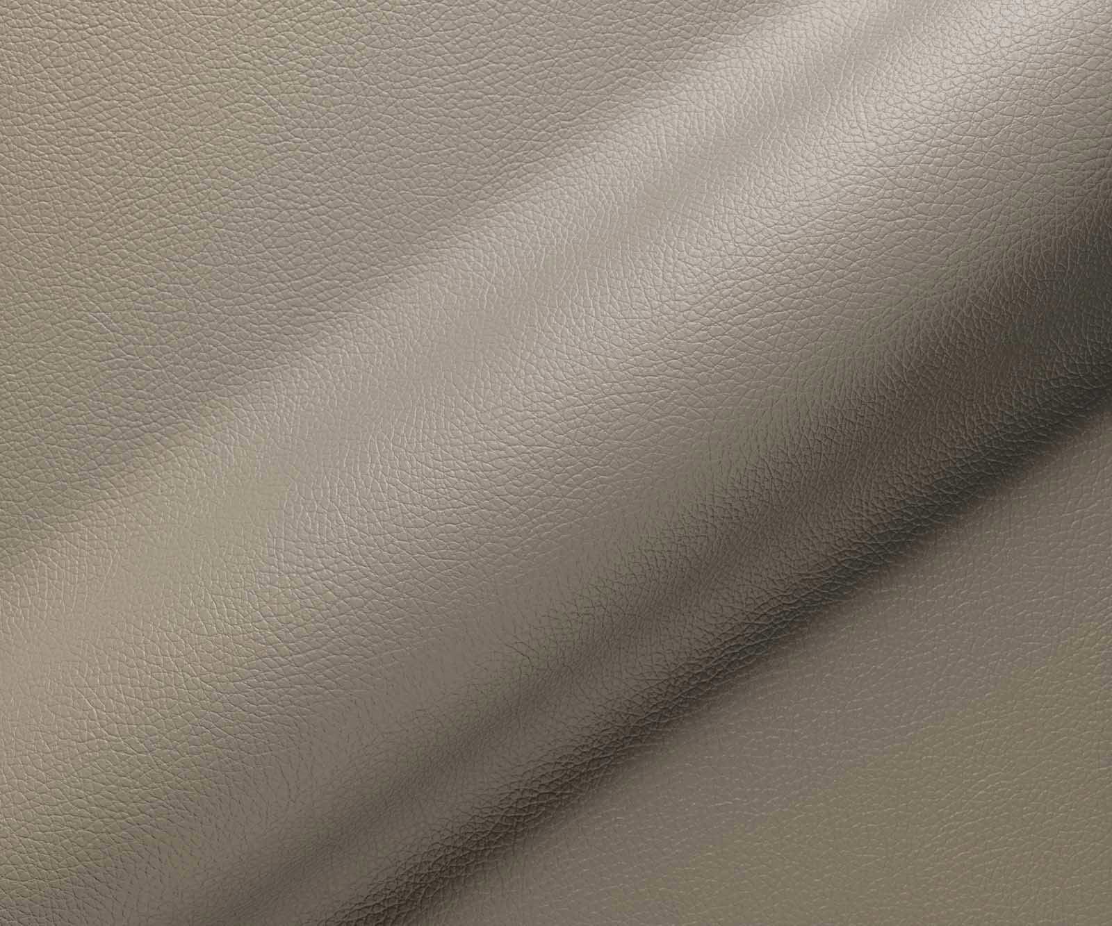 Freischwinger Nube-Flex mit Armlehnen Echt-Leder Schlamm Freischwinger flach Edelstahl Taschenfederkern 3